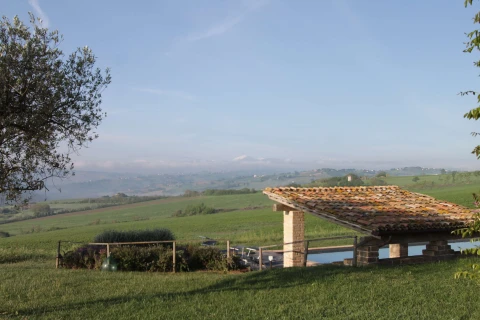 Azienda Mastro, Le Marche
