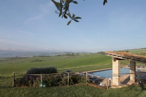 Azienda Mastro, Le Marche