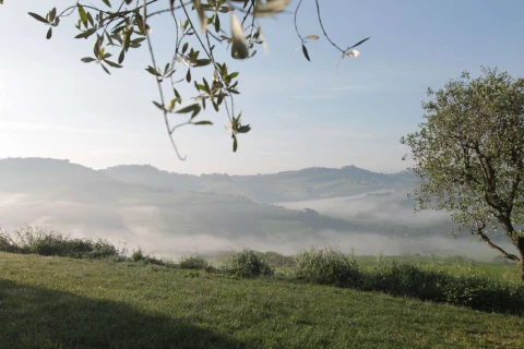 Azienda Mastro, Le Marche