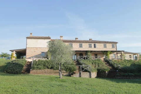 Azienda Mastro, Le Marche