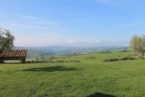 Azienda Mastro, Le Marche