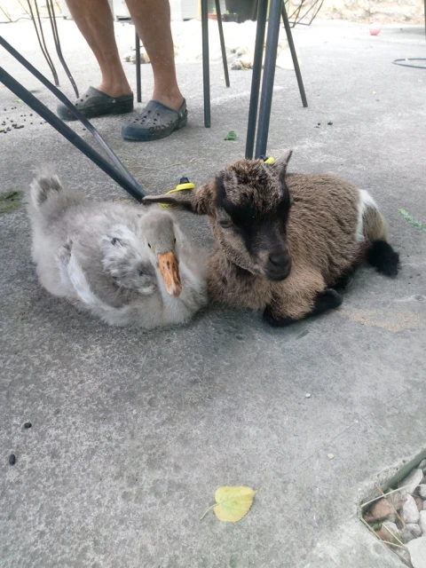 Paradis sur Terre, Provence