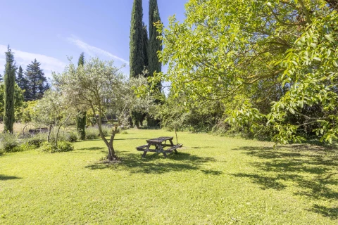 Paradis sur Terre, Provence