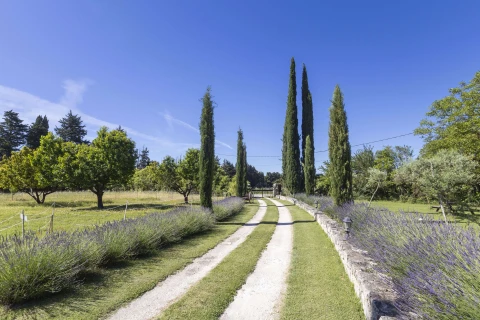 Paradis sur Terre, Provence