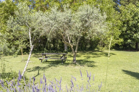 Paradis sur Terre, Provence