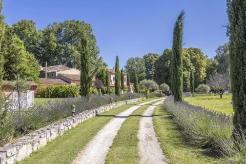 Paradis sur Terre, Provence