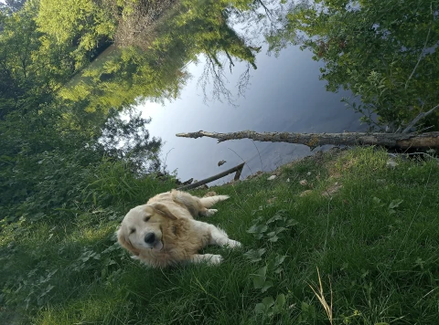 Paradis sur Terre, Provence