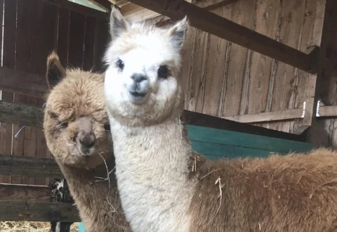 Paradis sur Terre, Provence