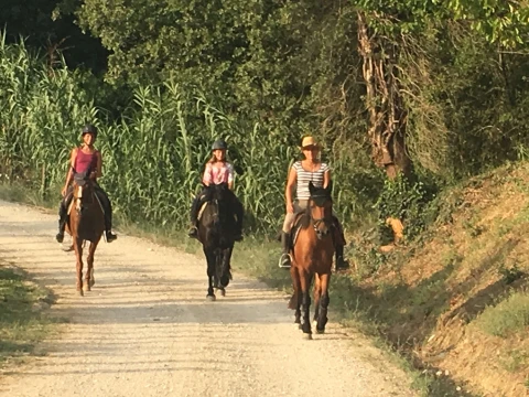 Poggio Agricola, Umbrië