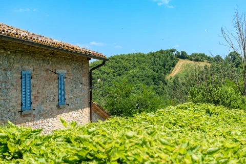 casale-salvatore-2025-ig-(4-of-111)