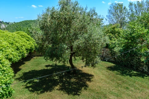 casale-salvatore-2025-ig-(5-of-111)