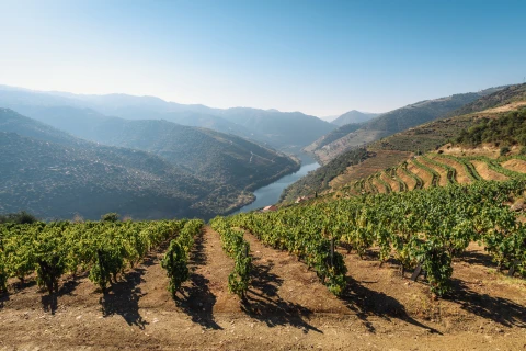 douro