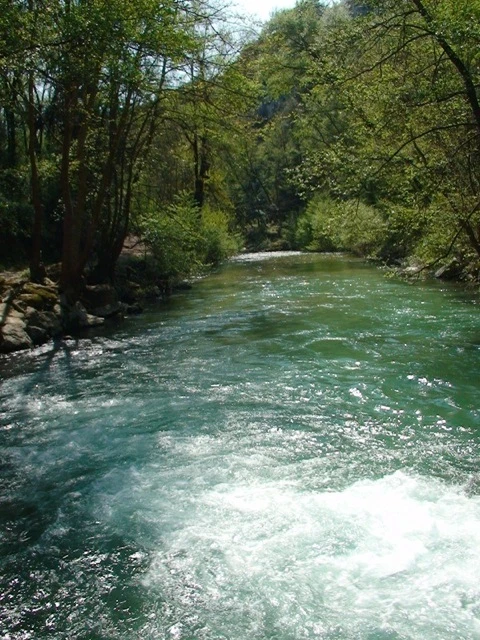 Artcheda, vakantiehuisVilla, Côte d'azur, people: 10