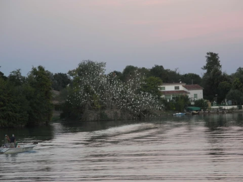 Au bord du Tarn, Vakantiehuis, Tarn, people: 7
