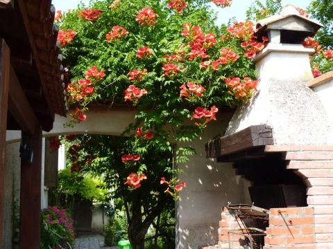 Au bord du Tarn, Vakantiehuis, Tarn, people: 7