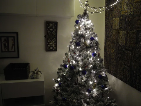 Au bord du Tarn, Vakantiehuis, Tarn, people: 7