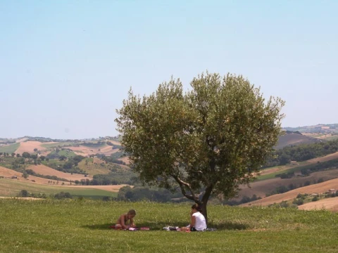 Azienda Mastro - Falerio, vakantiehuisVilla, Le Marche, people: 4