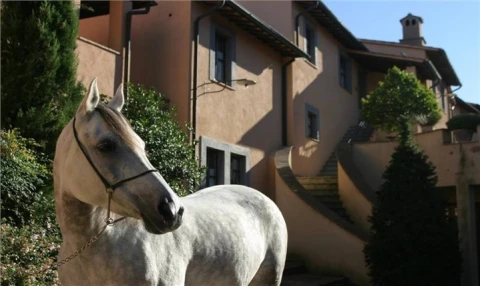 Borgo del Poggio (1), vakantiehuisVilla, Toscane, people: 4