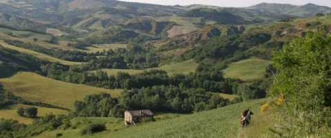 Borgo del Poggio (1), vakantiehuisVilla, Toscane, people: 4