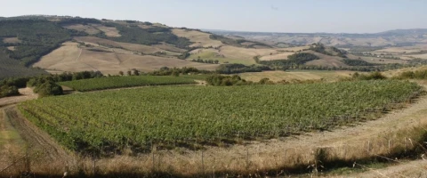 Borgo del Poggio (1), vakantiehuisVilla, Toscane, people: 4