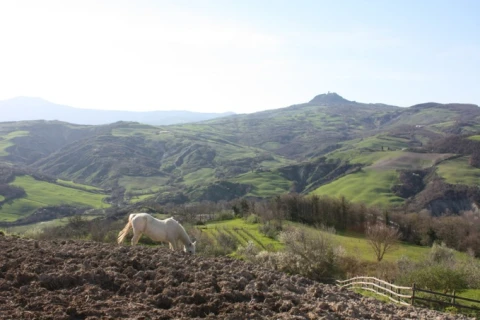 Borgo del Poggio (1), vakantiehuisVilla, Toscane, people: 4