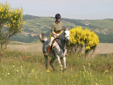 Borgo del Poggio (1), vakantiehuisVilla, Toscane, people: 4