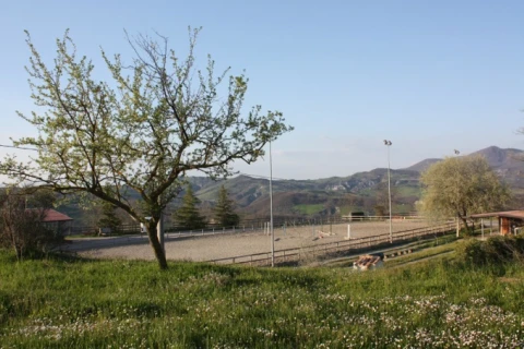 Borgo del Poggio (2), vakantiehuisVilla, Toscane, people: 6
