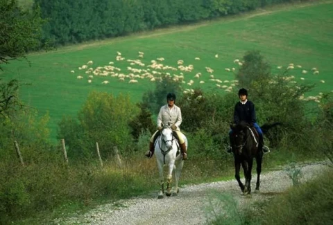 Borgo del Poggio (2), vakantiehuisVilla, Toscane, people: 6