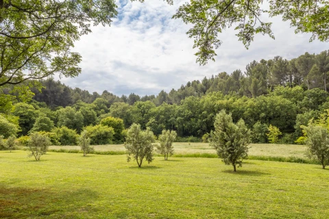 Camille en Provence, Vakantiehuis, Provence, people: 11