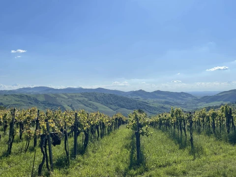 Casa Amalia, Vakantiehuis, Lombardije, people: 13