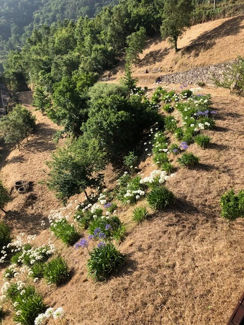 Casa Boa Vista, Vakantiehuis, Porto, people: 6