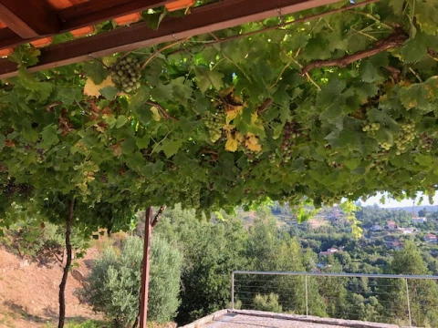 Casa Boa Vista, Vakantiehuis, Porto, people: 6