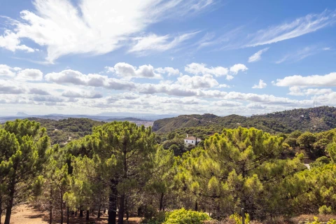 Casa Buena Esperanza, Vakantiehuis, Costa Del Sol, people: 8