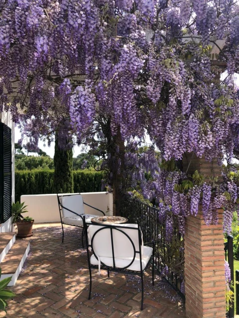 Casa Buena Esperanza, Vakantiehuis, Costa Del Sol, people: 8