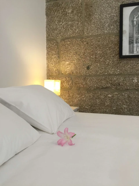 Casa Caracteristico , Vakantiehuis, Porto, people: 15