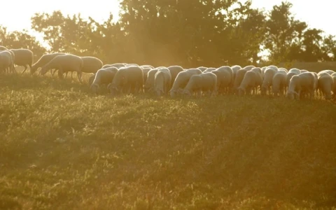 Casa da Silvia - Cerro Vecchio, Vakantiehuis, Le Marche, people: 4