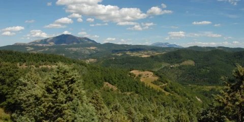 Casa da Silvia - Cerro Vecchio, Vakantiehuis, Le Marche, people: 4