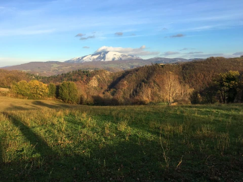 Casa Da Silvia - Gorgaccia, Vakantiehuis, Le Marche, people: 8