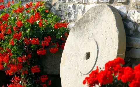 Casa da Silvia - Montalto, Vakantiehuis, Le Marche, people: 6