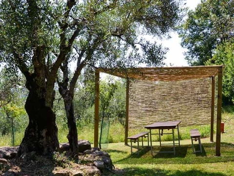 Casa Damiano - Il Granaio, Vakantiehuis, Le Marche, people: 2