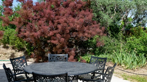 Casa Davide, Vakantiehuis, Le Marche, people: 6