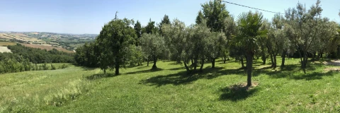 Casa Davide, Vakantiehuis, Le Marche, people: 6