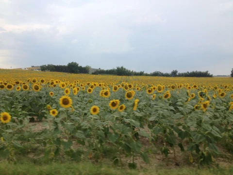 Casa Davide, Vakantiehuis, Le Marche, people: 6