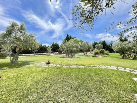 Casa dos Cedros, Vakantiehuis, people: 6