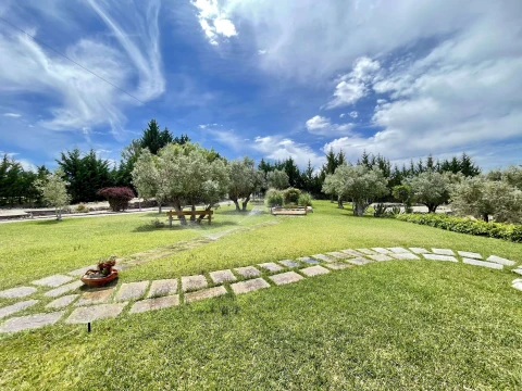 Casa dos Cedros, Vakantiehuis, people: 6