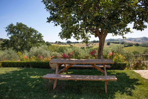 Casa Marcella - David, Vakantiehuis, Le Marche, people: 4