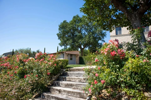 Casa Marcella - Matteo, Vakantiehuis, Le Marche, people: 5