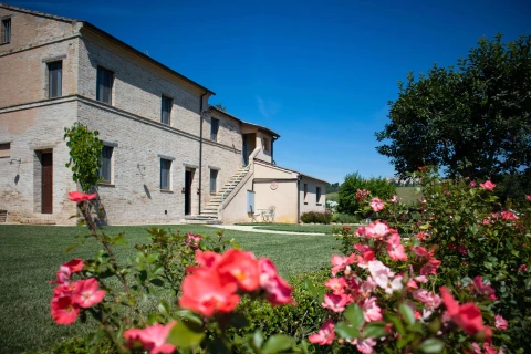 Casa Marcella - Matteo, Vakantiehuis, Le Marche, people: 5