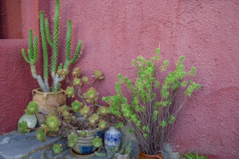 Casa Meridian, Vakantiehuis, Costa de Almería, people: 6
