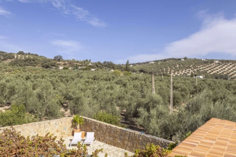 Casa Olivo, Vakantiehuis, Costa Del Sol, people: 8